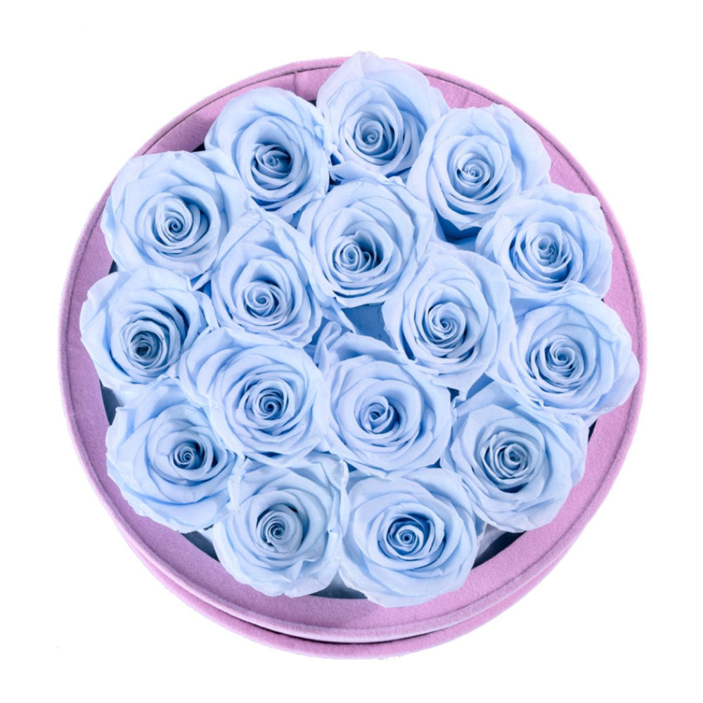 16 Baby Blue Roses - Pink Round Suede Box - Rose Forever