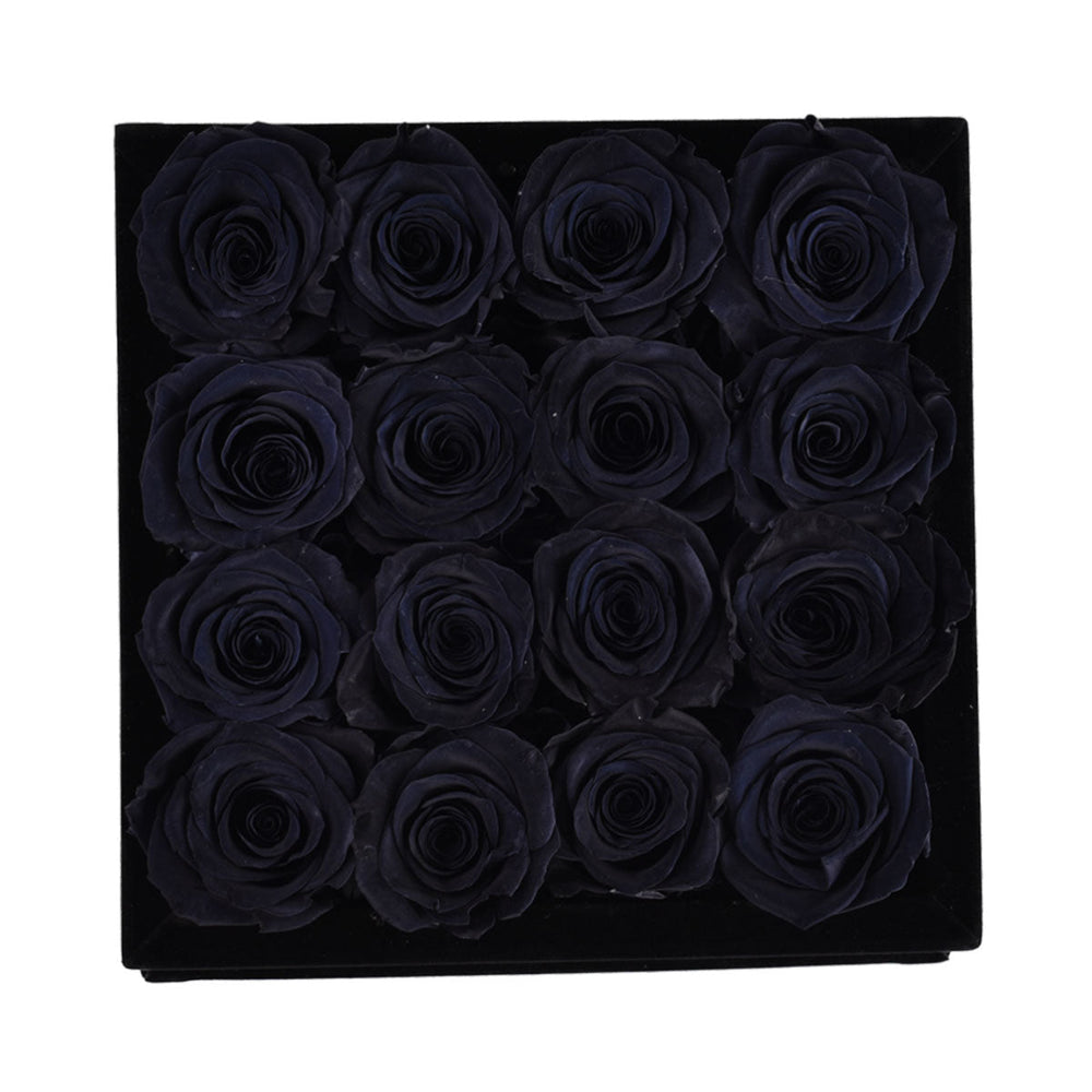 16 Black Roses - Black Square Velvet Box - Rose Forever