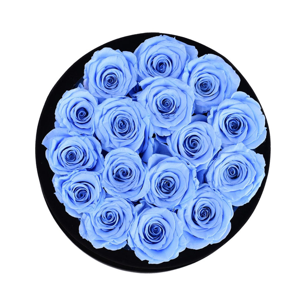 16 Blue Roses - Black Round Velvet Box - Rose Forever