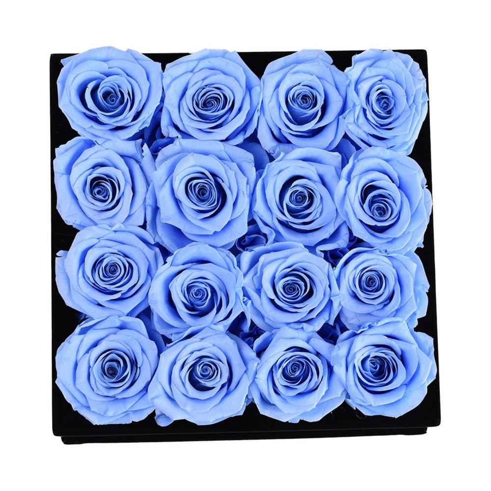 16 Blue Roses - Black Square Velvet Box - Rose Forever