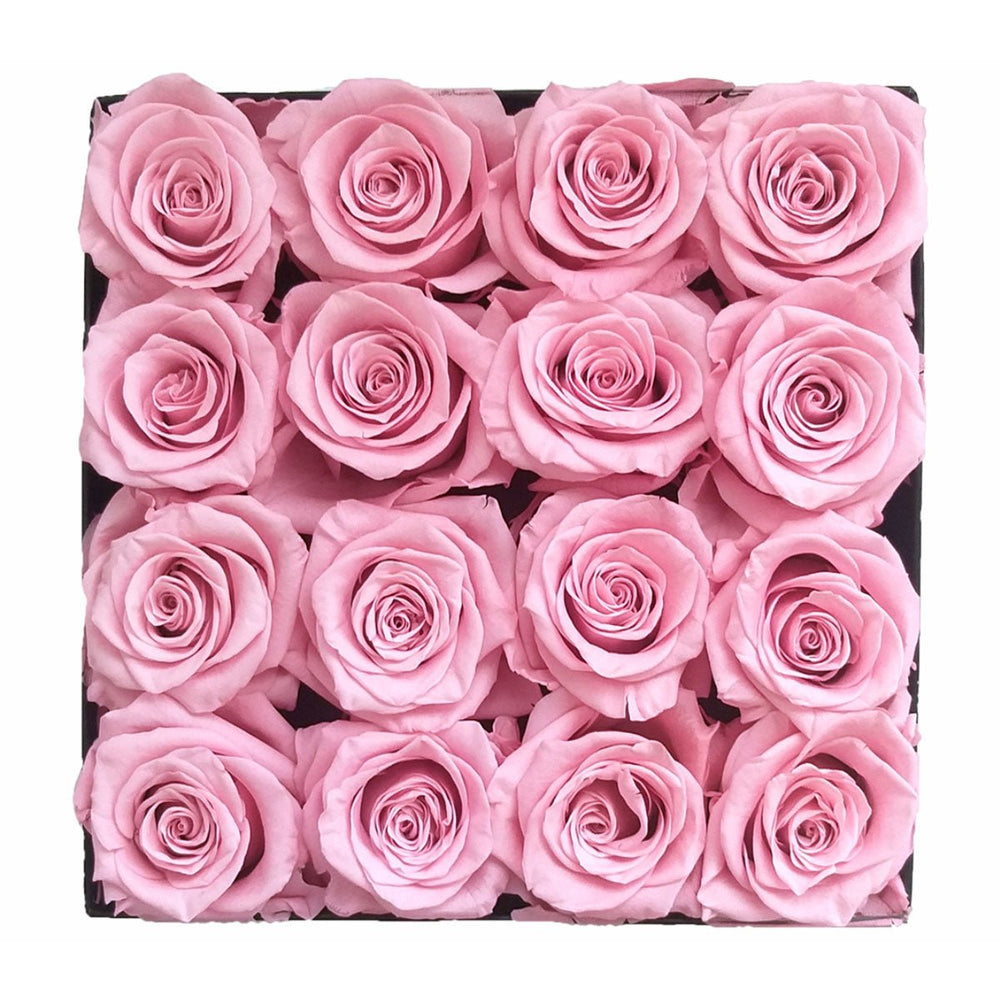 16 Ecuador Pink Roses - Square Box - Rose Forever