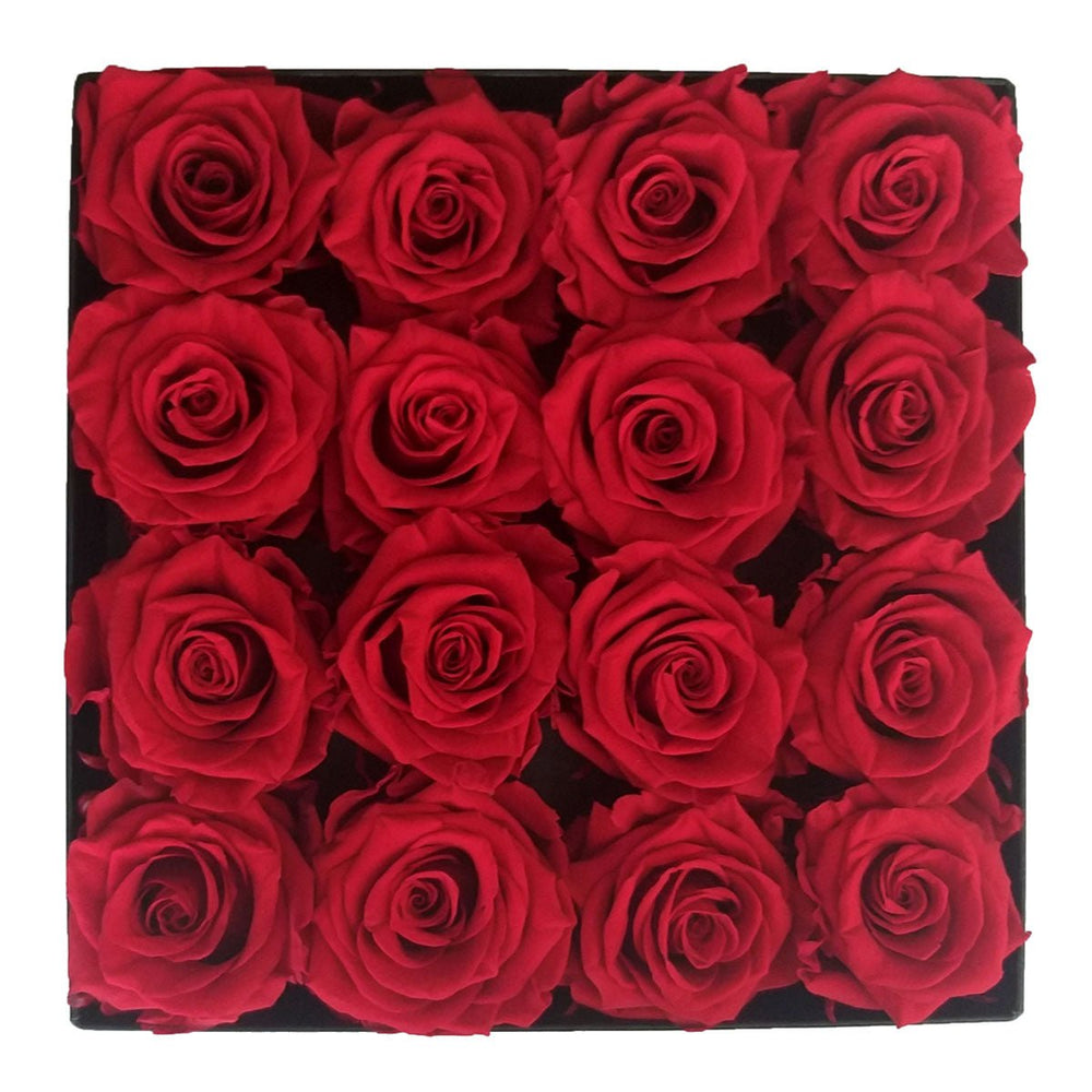16 Ecuador Red Roses - Square Box - Rose Forever