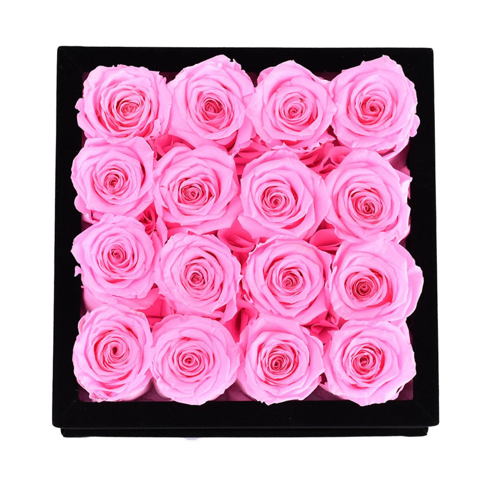 16 Fuchsia Roses - Black Square Velvet Box - Rose Forever