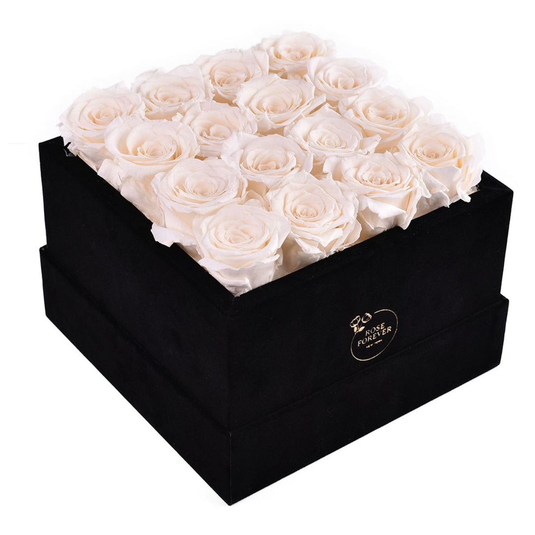 16 Ivory Roses - Black Square Velvet Box - Rose Forever