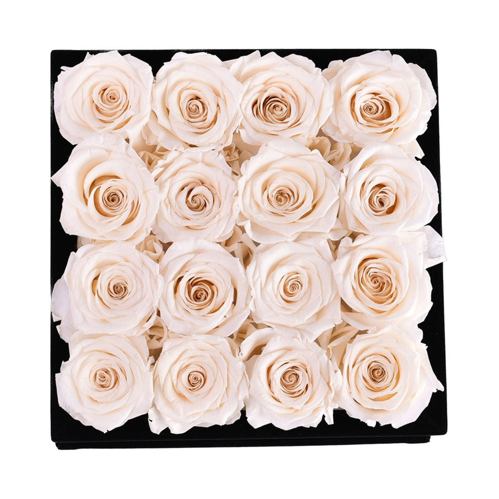 16 Ivory Roses - Black Square Velvet Box - Rose Forever
