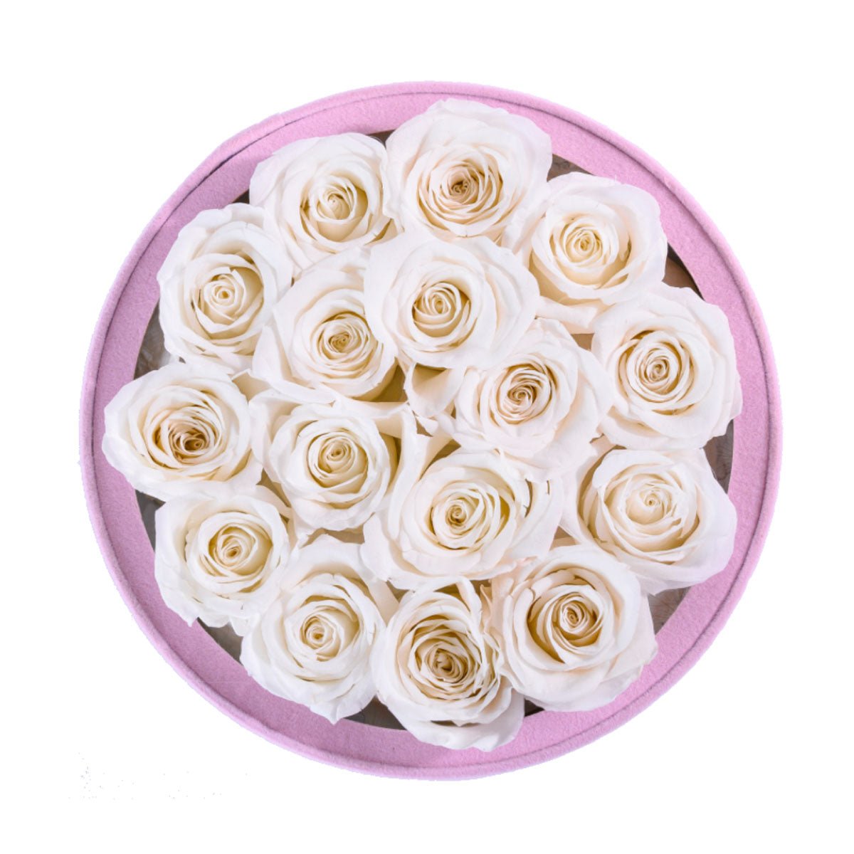 16 Ivory Roses - Pink Round Suede Box | Flower Delivery – Rose Forever