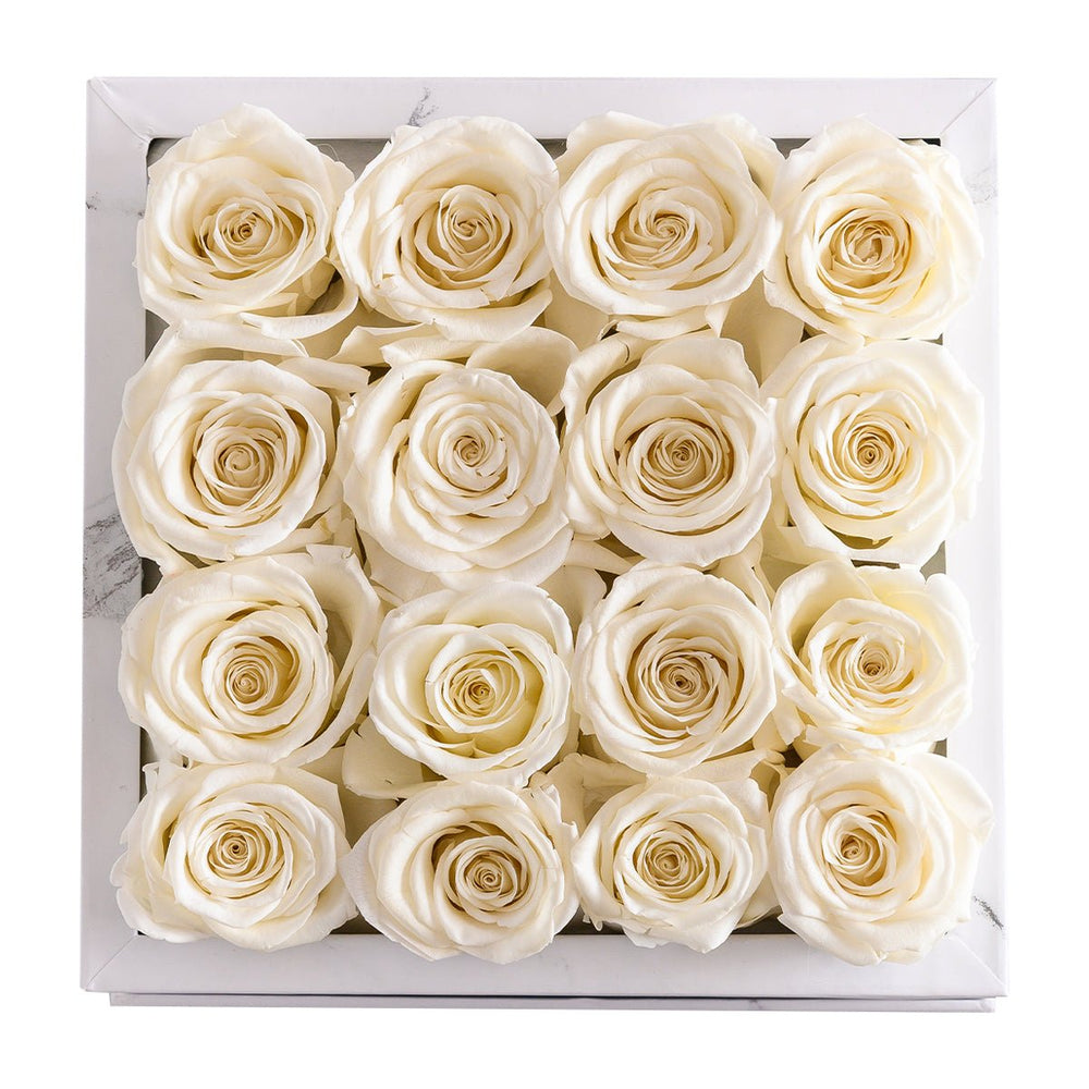 16 Ivory Roses - White Square Marble Box - Rose Forever