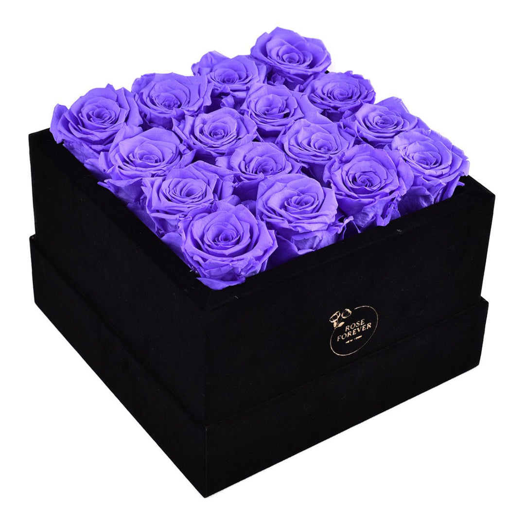 16 Lavender Roses - Black Square Velvet Box - Rose Forever