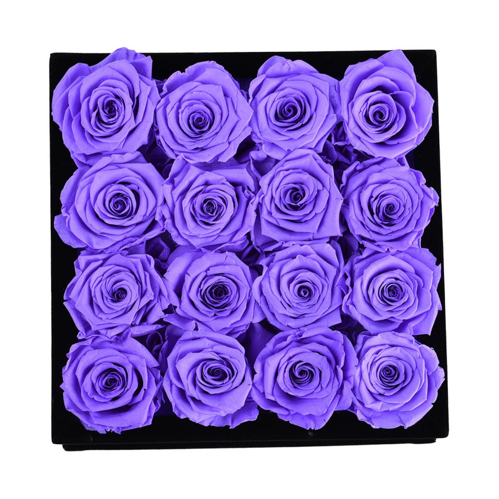 16 Lavender Roses - Black Square Velvet Box - Rose Forever