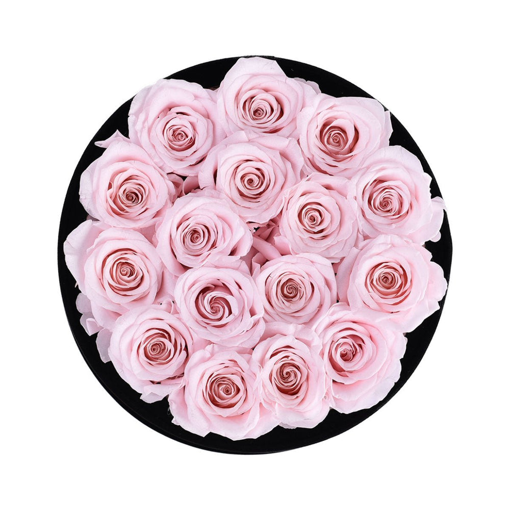 16 Light Pink Roses - Black Round Velvet Box - Rose Forever