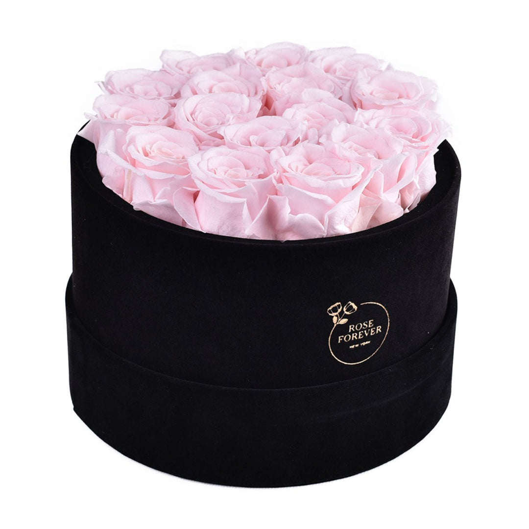 16 Light Pink Roses - Black Round Velvet Box - Rose Forever
