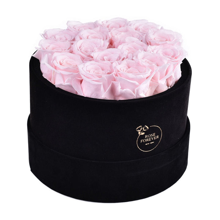 16 Light Pink Roses - Black Round Velvet Box - Rose Forever