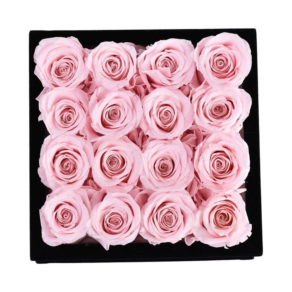 16 Light Pink Roses - Black Square Velvet Box - Rose Forever