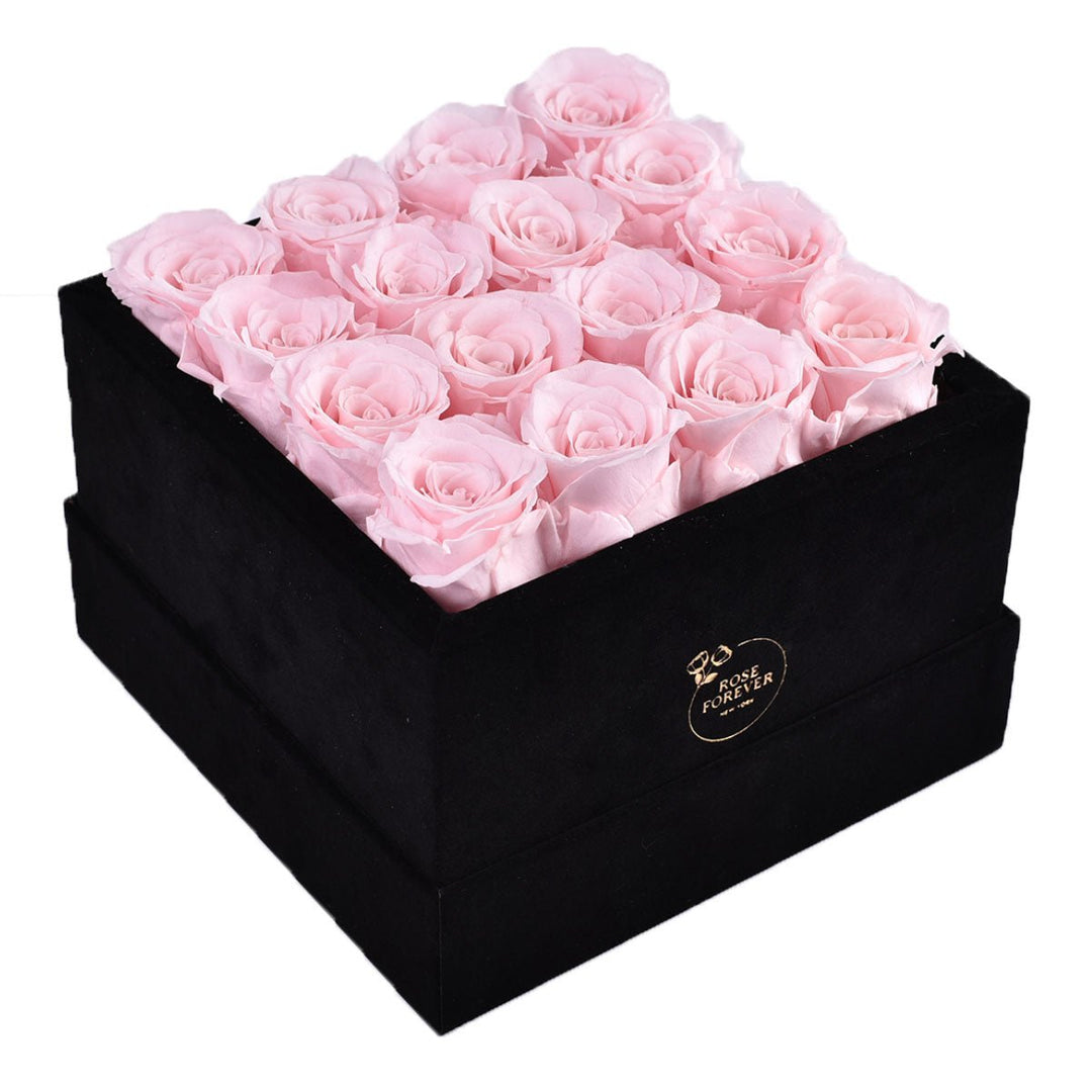 16 Light Pink Roses - Black Square Velvet Box - Rose Forever