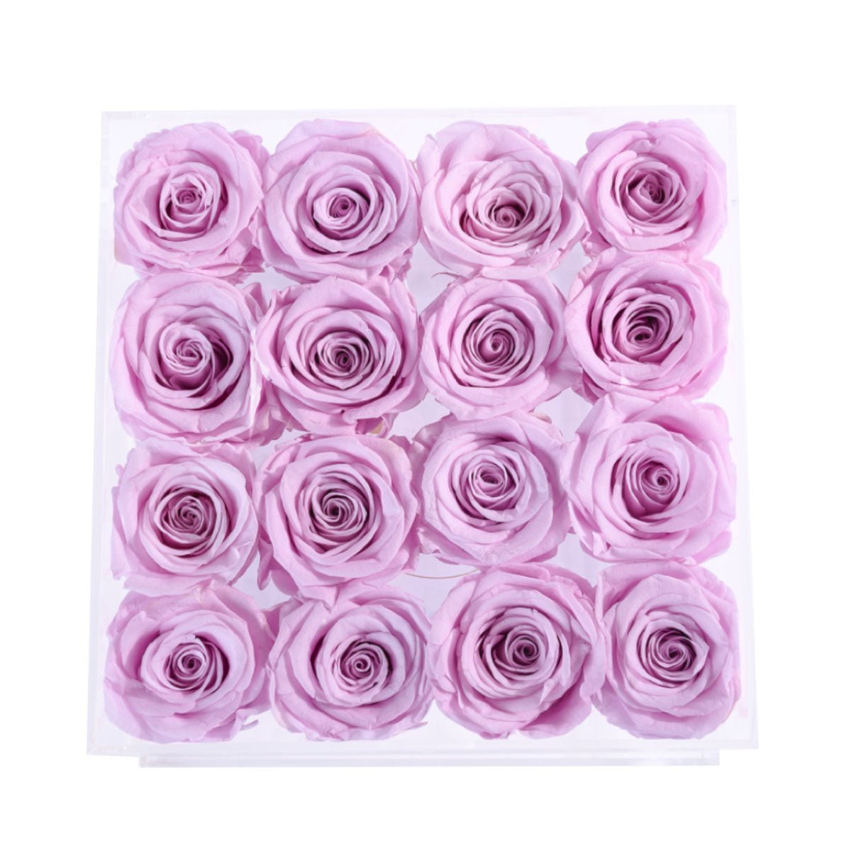 16 Lilac Roses in an Acrylic Box | Flower Delivery – Rose Forever