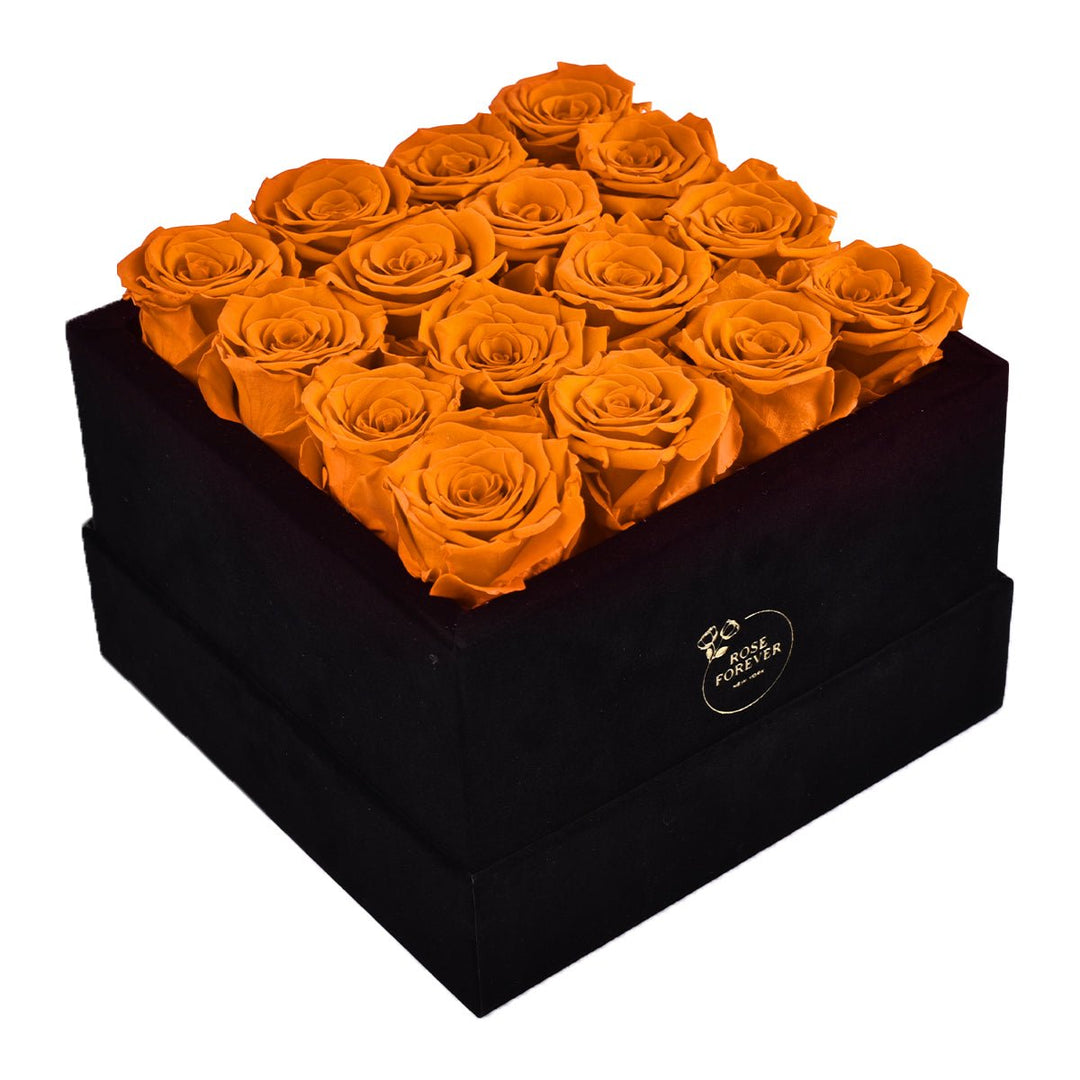 16 Orange Roses - Black Square Velvet Box - Rose Forever