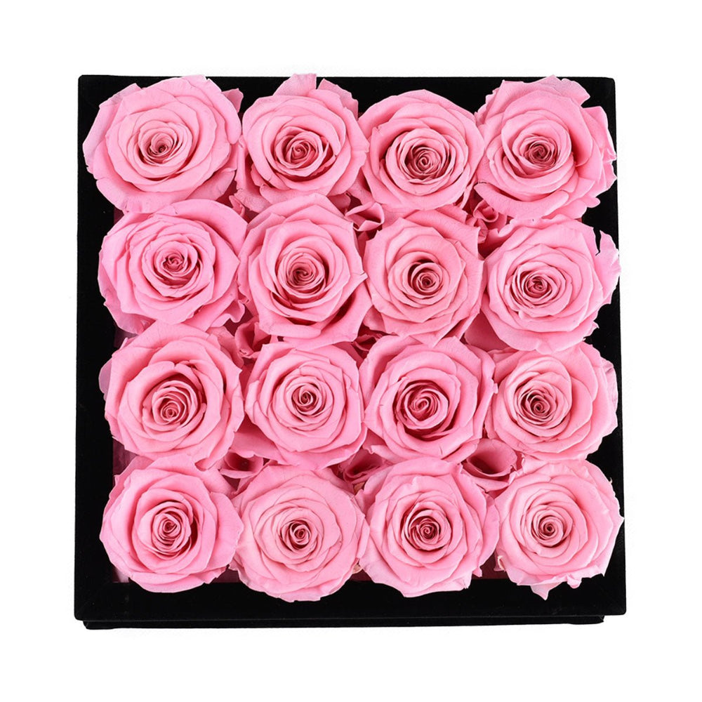 16 Pink Roses - Black Square Velvet Box - Rose Forever