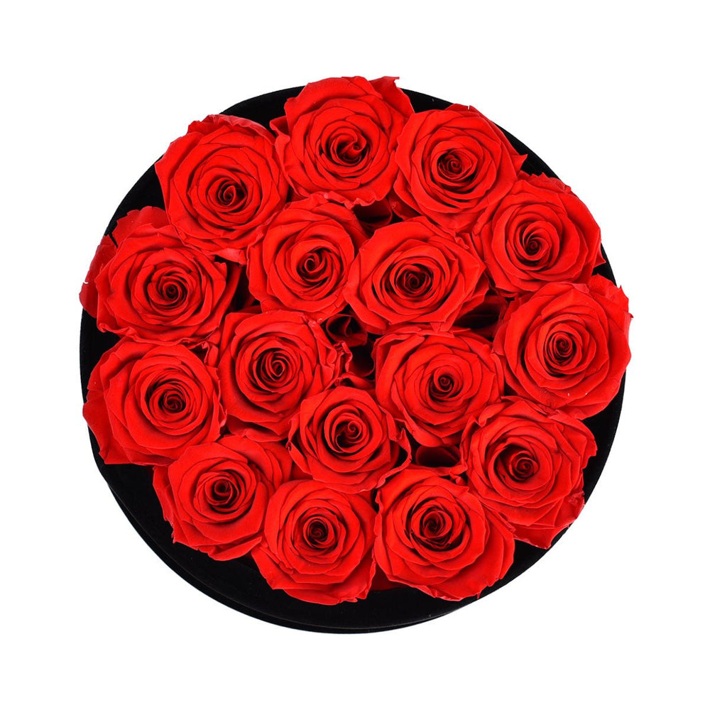 16 Red Roses - Black Round Velvet Box - Rose Forever