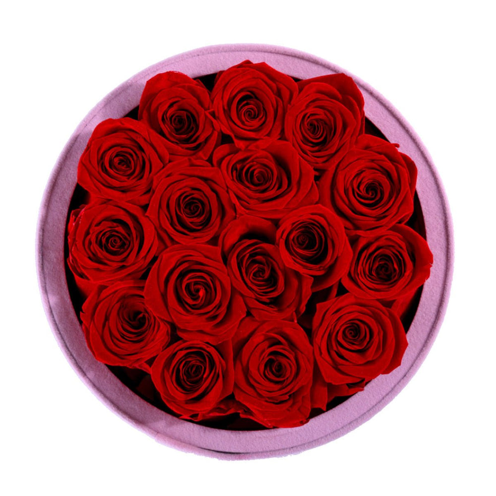 16 Red Roses - Pink Round Suede Box - Rose Forever