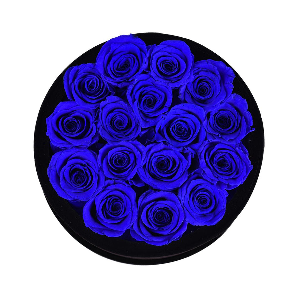 16 Royal Blue Roses - Black Round Velvet Box - Rose Forever