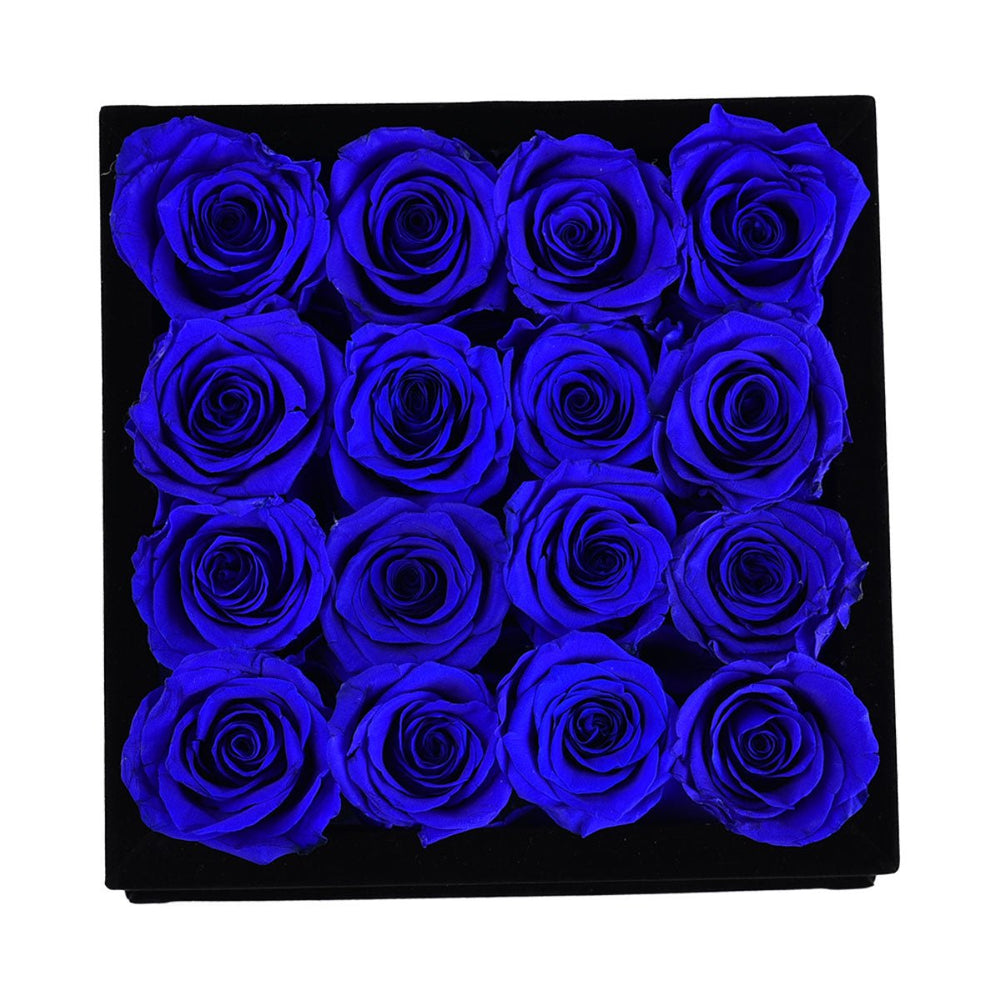 16 Royal Blue Roses - Black Square Velvet Box - Rose Forever