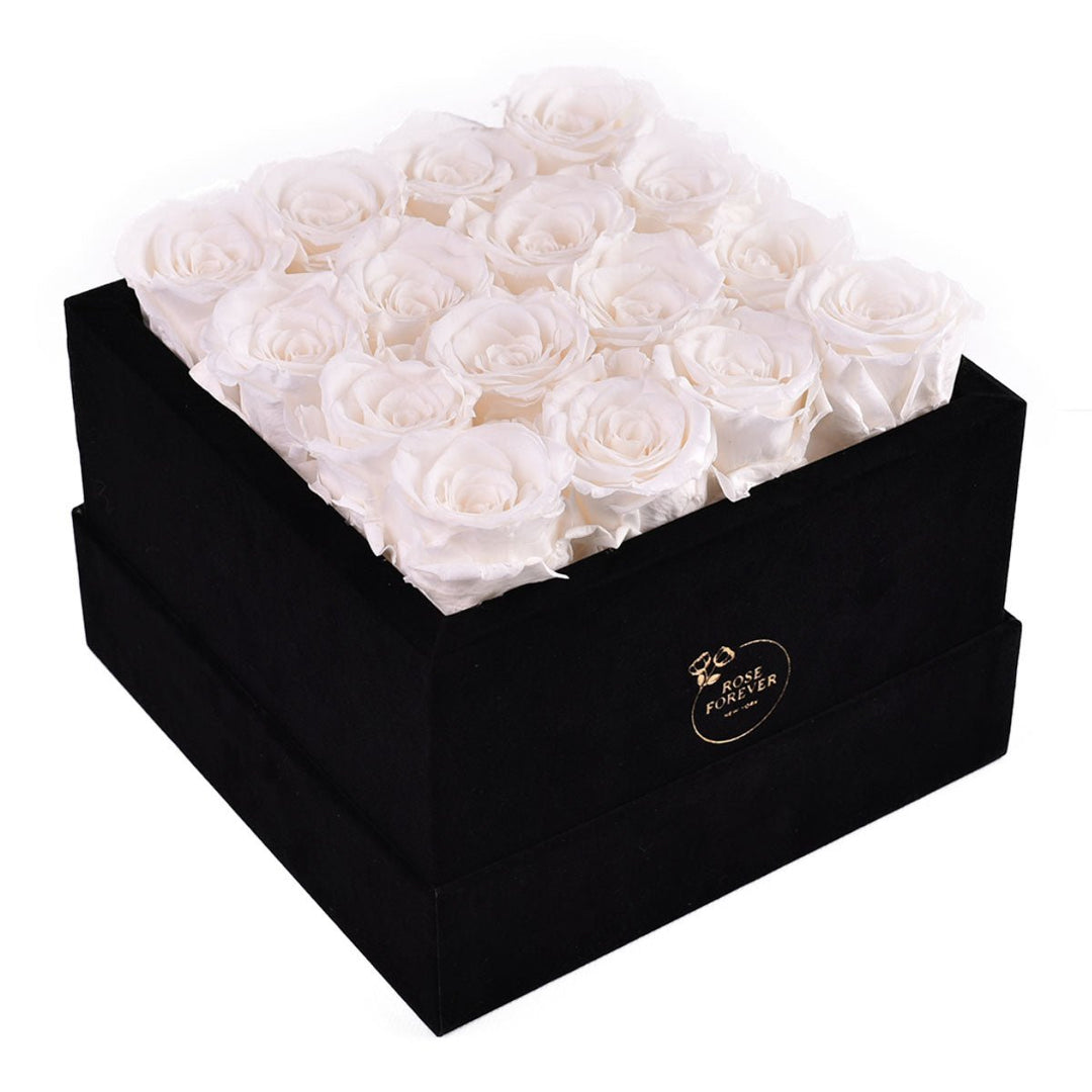 16 White Roses - Black Square Velvet Box - Rose Forever