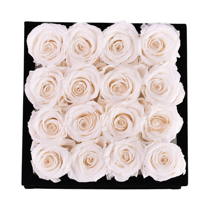 16 White Roses - Black Square Velvet Box - Rose Forever