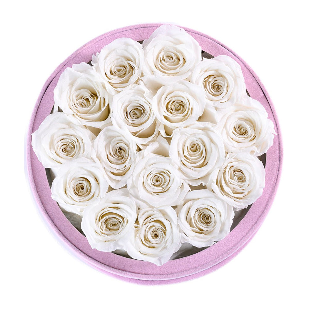 16 White Roses - Pink Round Suede Box - Rose Forever