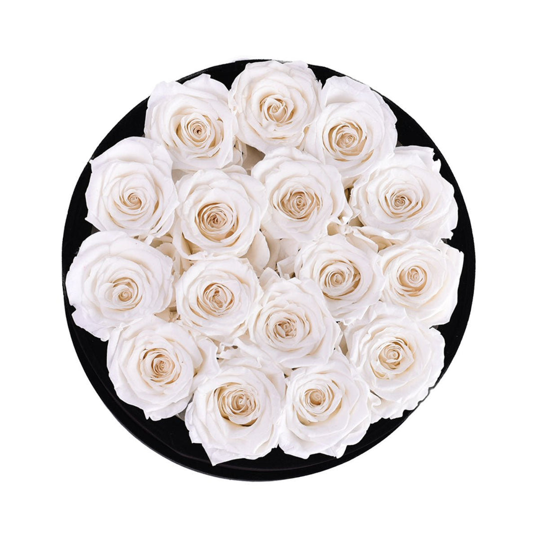 16 White Roses - Round Velvet Box - Rose Forever