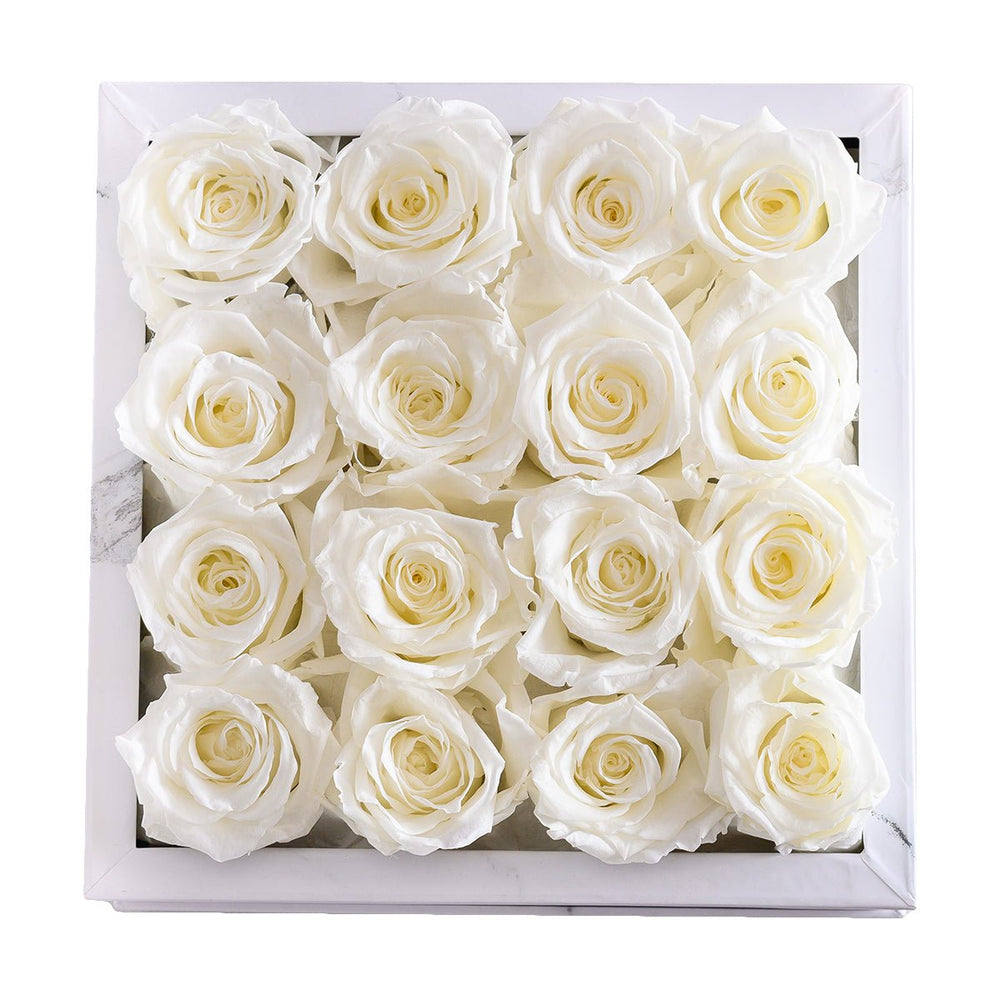 16 White Roses - White Square Marble Box - Rose Forever