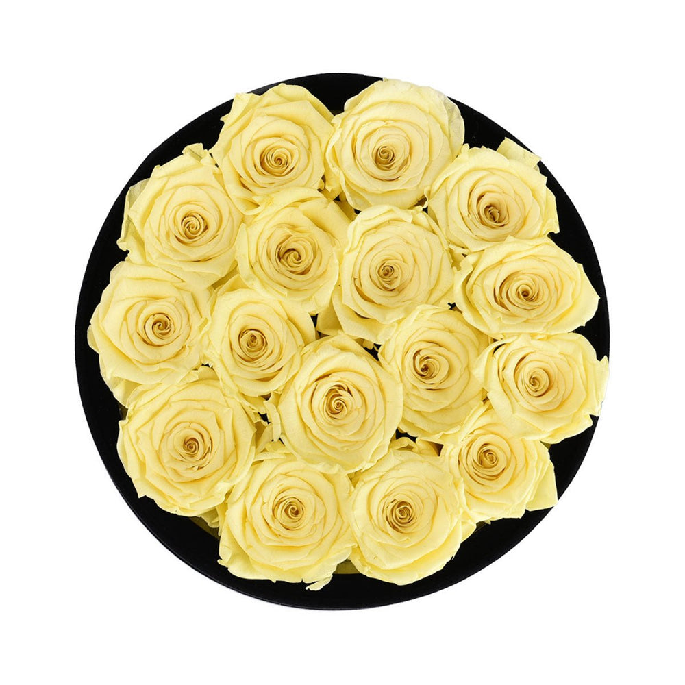 16 Yellow Roses - Black Round Velvet Box - Rose Forever
