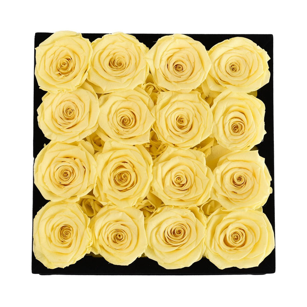 16 Yellow Roses - Black Square Velvet Box - Rose Forever
