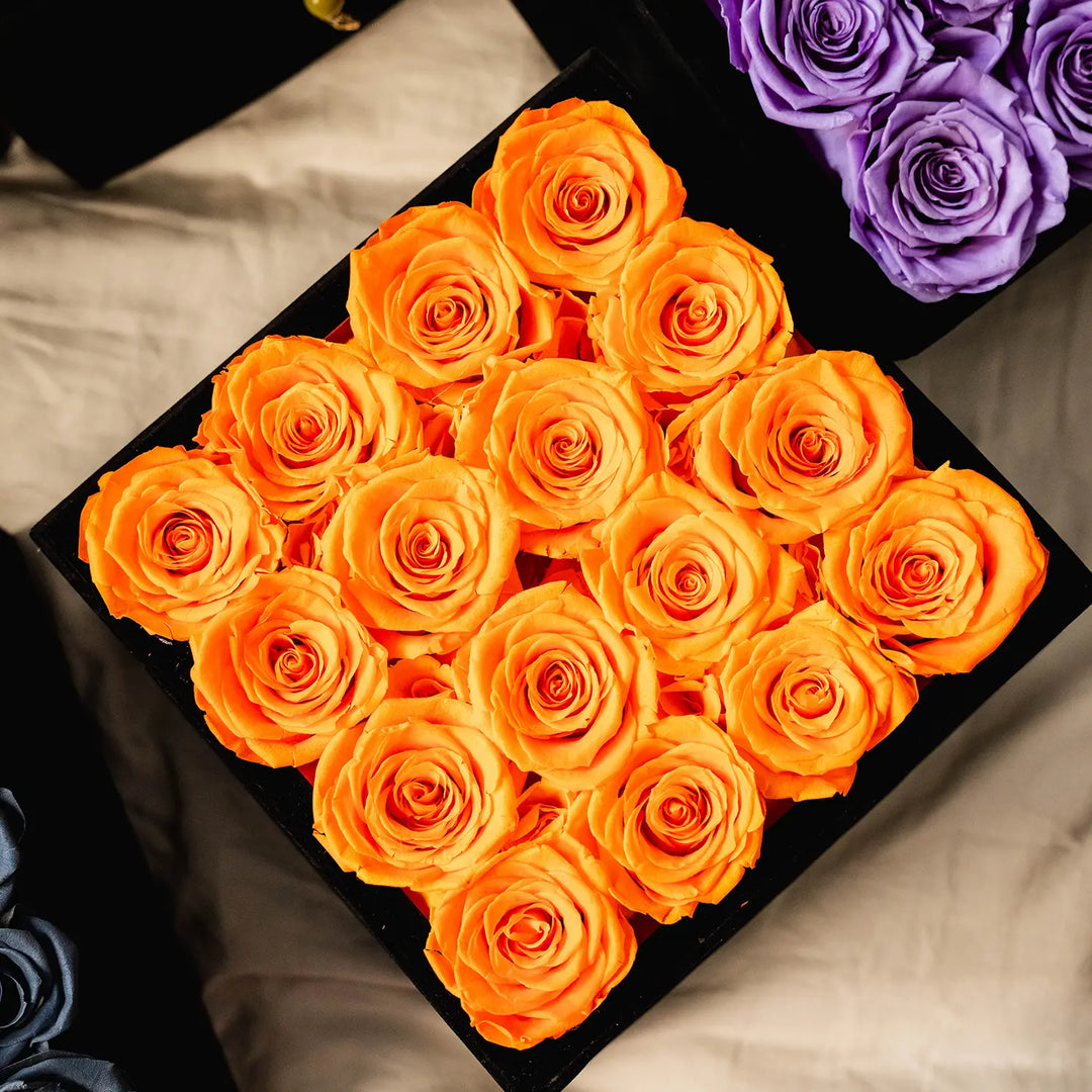 16 Orange Roses - Black Square Velvet Box