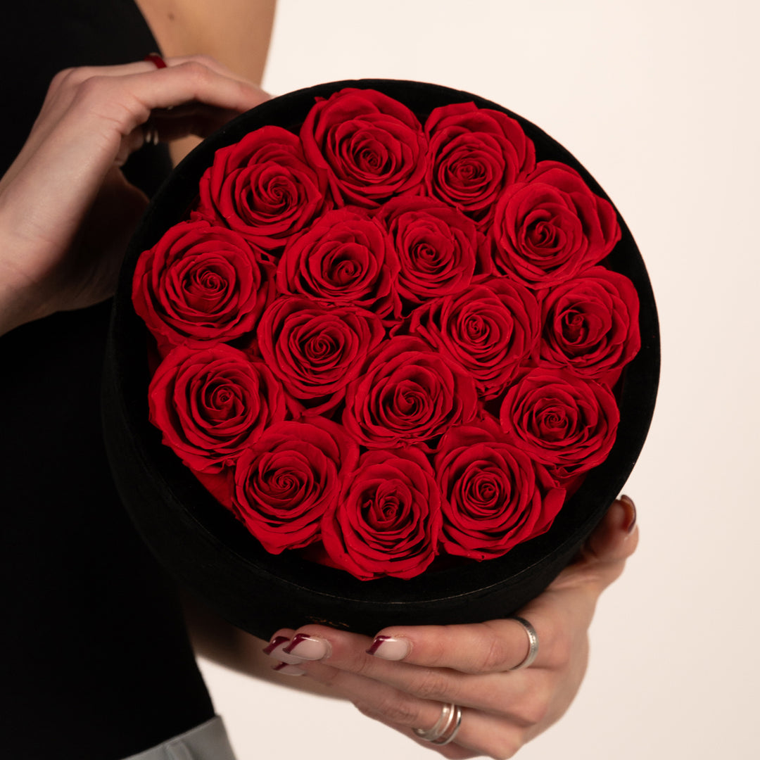 16 red roses black velvet