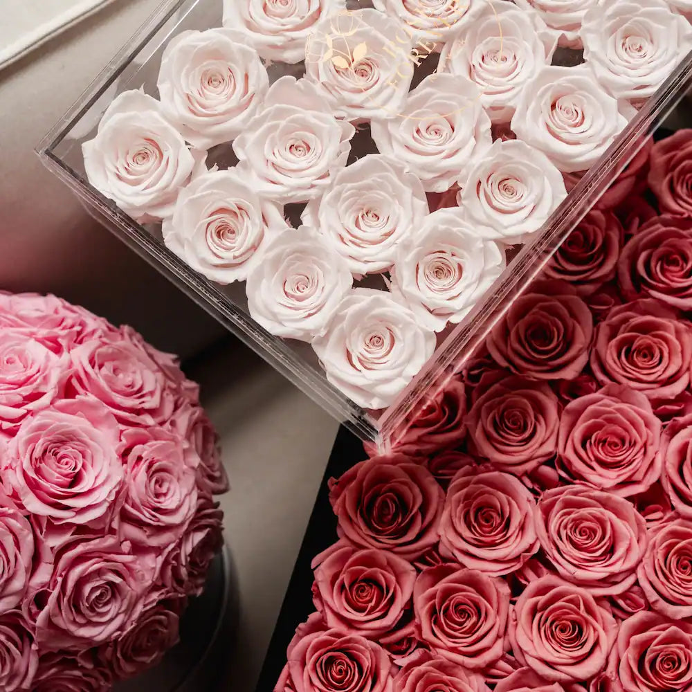 24 Ivory Roses - Rectangular Crystal Box