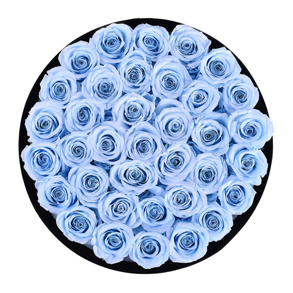 36 Baby Blue Roses - Black Round Velvet Box - Rose Forever