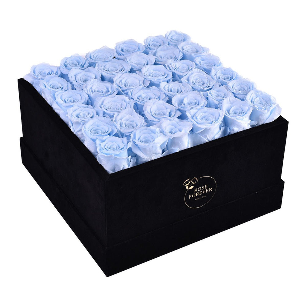 36 Baby Blue Roses - Black Square Velvet Box - Rose Forever