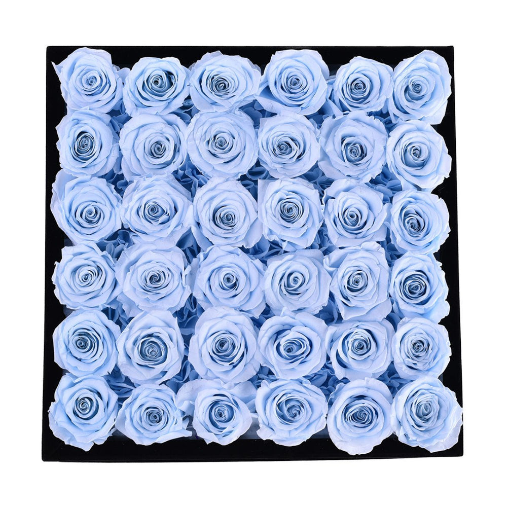 36 Baby Blue Roses - Black Square Velvet Box - Rose Forever