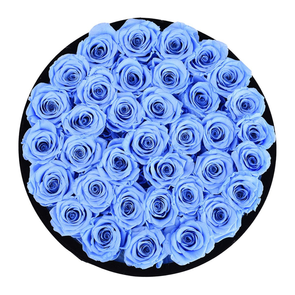 36 Blue Roses - Black Round Velvet Box - Rose Forever