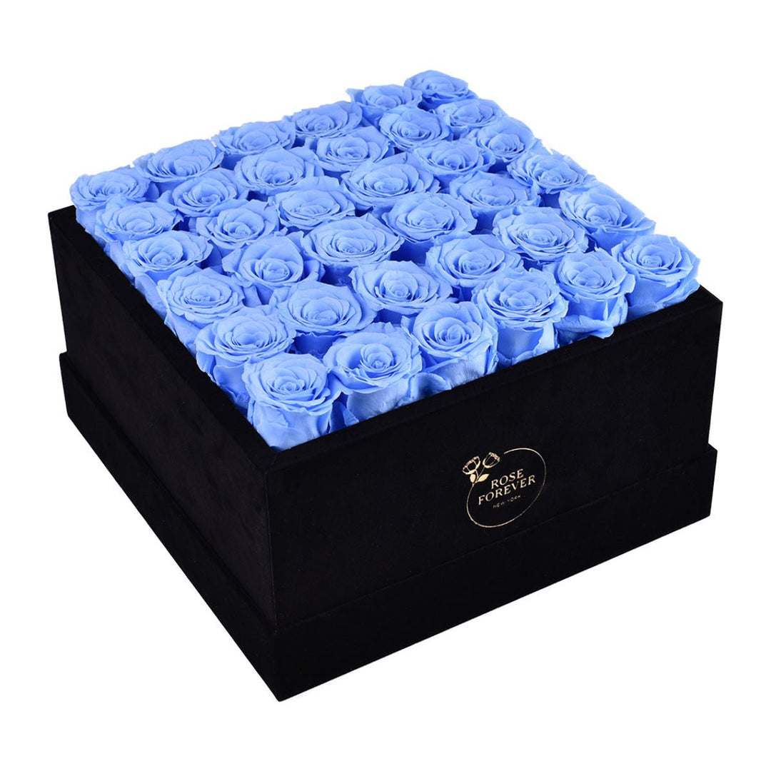 36 Blue Roses - Black Square Velvet Box - Rose Forever