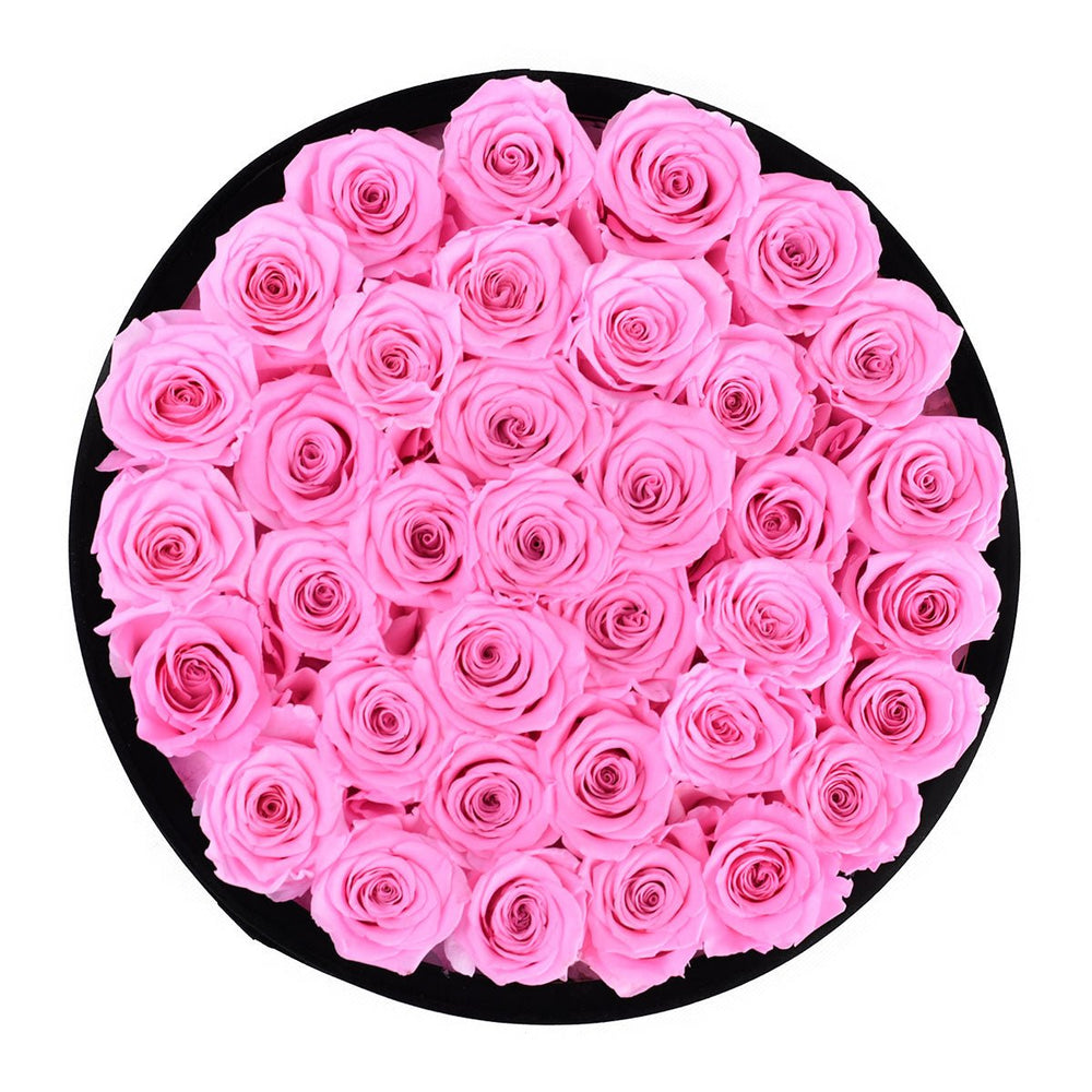 36 Fuchsia Roses - Black Round Velvet Box - Rose Forever