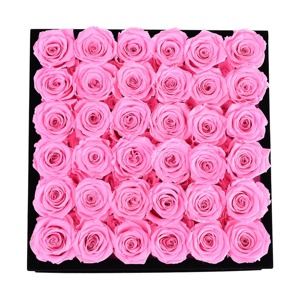 36 Fuchsia Roses - Black Square Velvet Box - Rose Forever