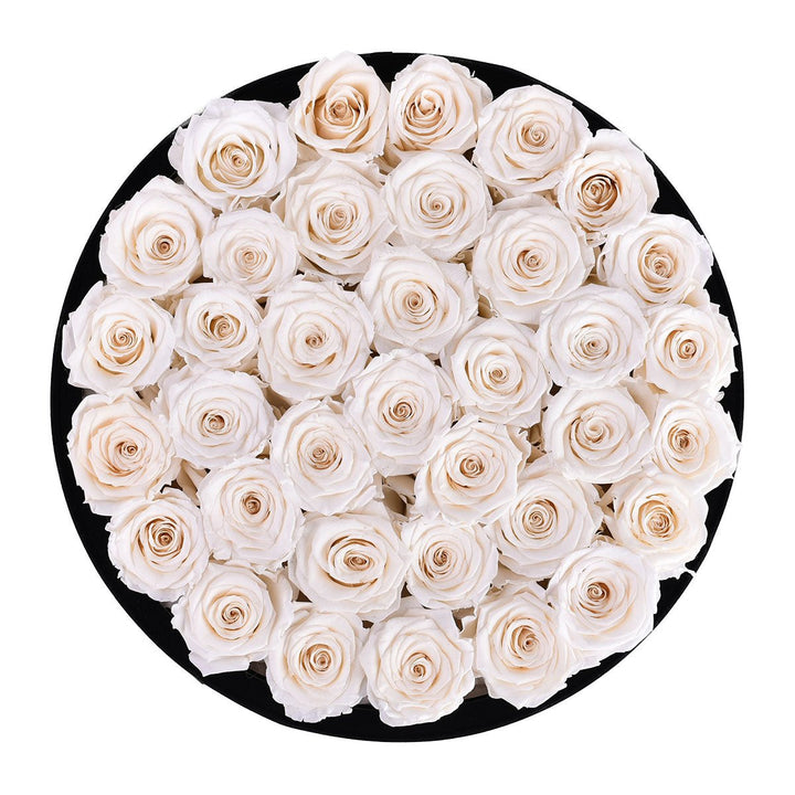 36 Ivory Roses - Black Round Velvet Box - Rose Forever