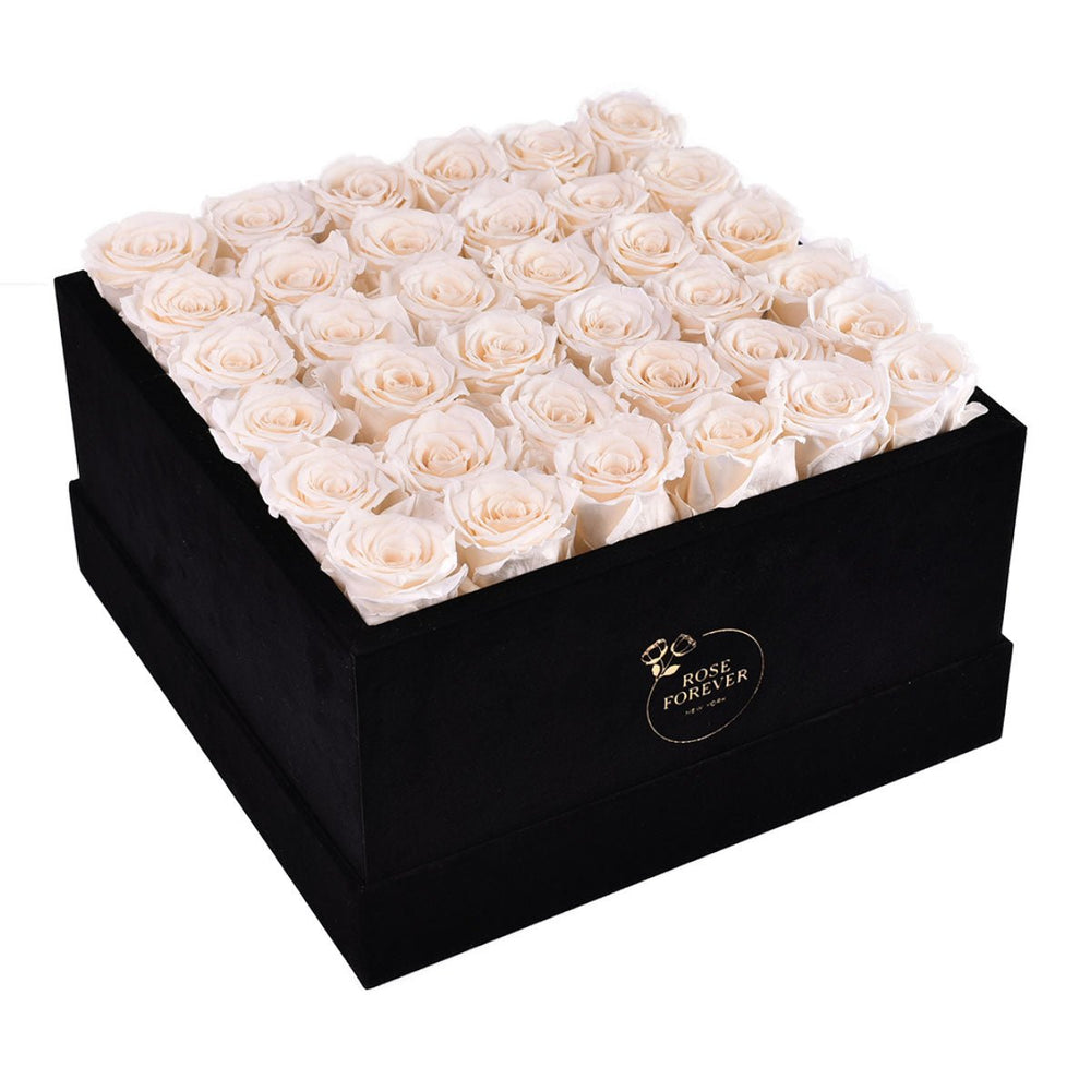36 Ivory Roses - Black Square Velvet Box - Rose Forever