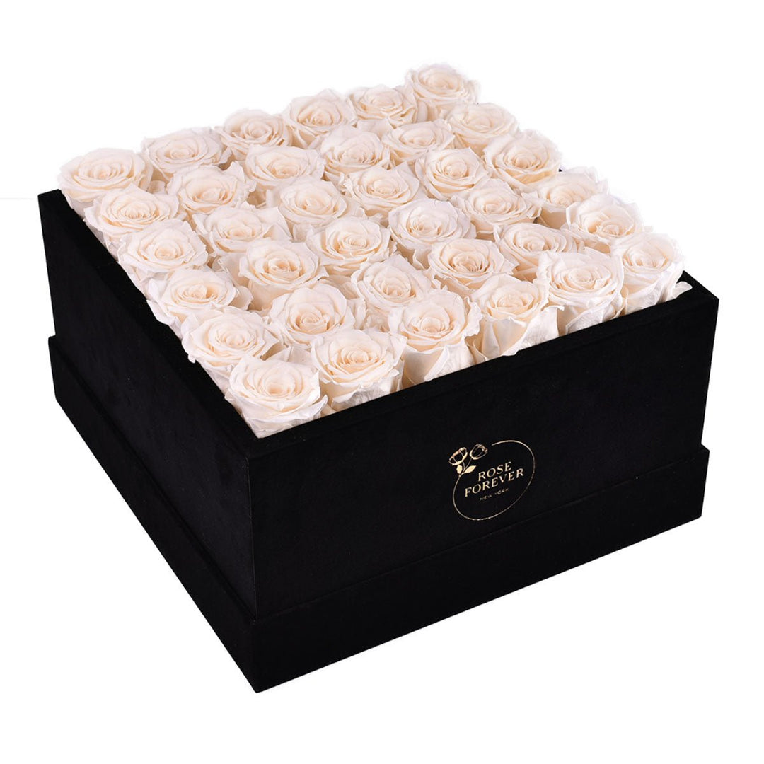 36 Ivory Roses - Black Square Velvet Box - Rose Forever