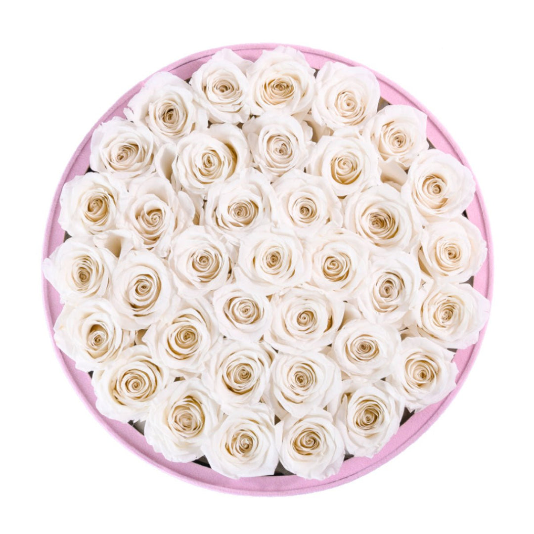 36 Ivory Roses - Pink Round Suede Box - Rose Forever