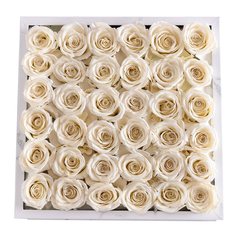 36 Ivory Roses - White Marble Square Box - Rose Forever