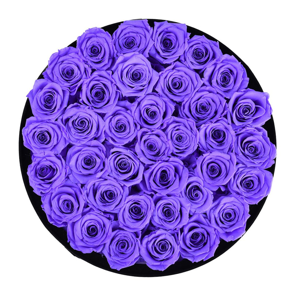 36 Lavender Roses - Black Round Velvet Box - Rose Forever