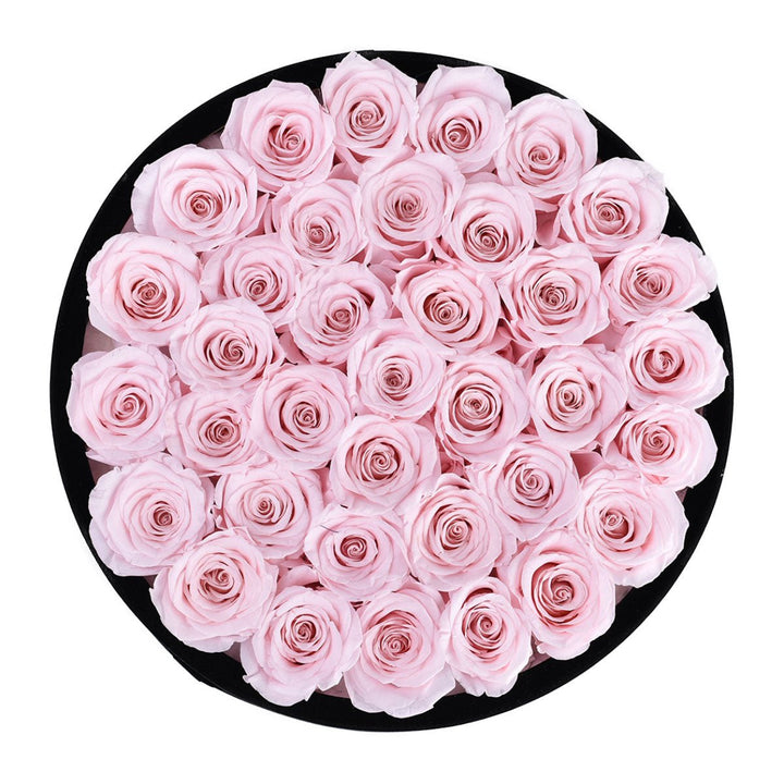 36 Light Pink Roses - Black Round Velvet Box - Rose Forever