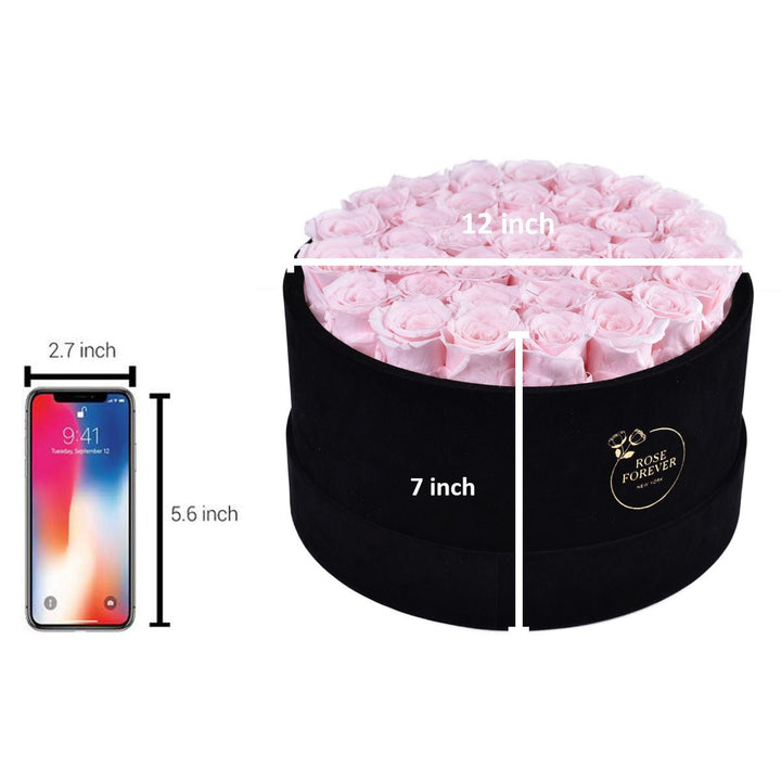 36 Light Pink Roses - Black Round Velvet Box - Rose Forever